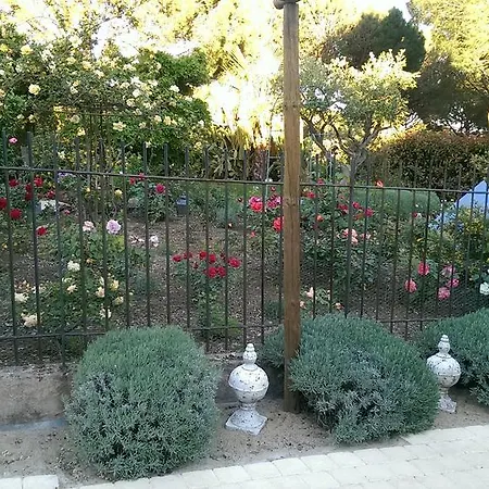 莱斯格赖森住宿加早餐旅馆 住宿加早餐酒店 格里莫