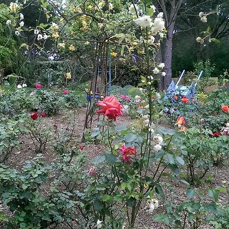 莱斯格赖森住宿加早餐旅馆 3*